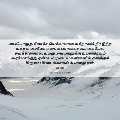 Picture 06 - எண்ணாகமம் 11:11 TAMIRV - அப்பொழுது மோசே - Bible Verse Picture