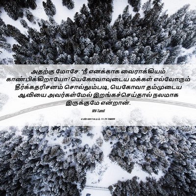 Picture 06 - எண்ணாகமம் 11:29 TAMIRV - அதற்கு மோசே: “நீ - Bible Verse Picture