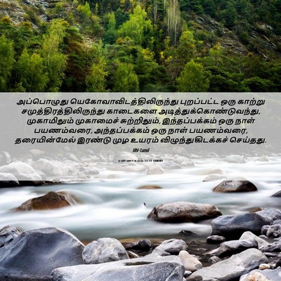 Picture 06 - எண்ணாகமம் 11:31 TAMIRV - அப்பொழுது - Bible Verse Picture