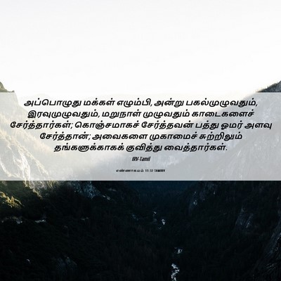Picture 06 - எண்ணாகமம் 11:32 TAMIRV - அப்பொழுது மக்கள் - Bible Verse Picture