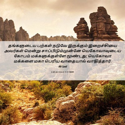 Picture 06 - எண்ணாகமம் 11:33 TAMIRV - தங்களுடைய பற்கள் - Bible Verse Picture
