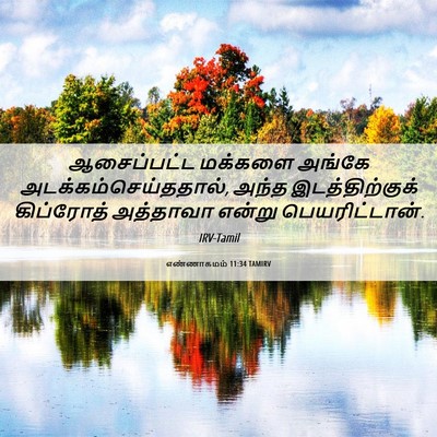 Picture 06 - எண்ணாகமம் 11:34 TAMIRV - ஆசைப்பட்ட மக்களை - Bible Verse Picture