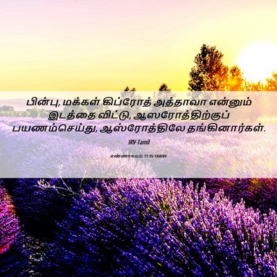 Picture 06 - எண்ணாகமம் 11:35 TAMIRV - பின்பு, மக்கள் - Bible Verse Picture