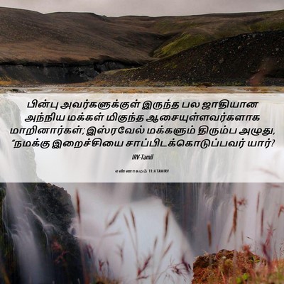 Picture 06 - எண்ணாகமம் 11:4 TAMIRV - பின்பு - Bible Verse Picture