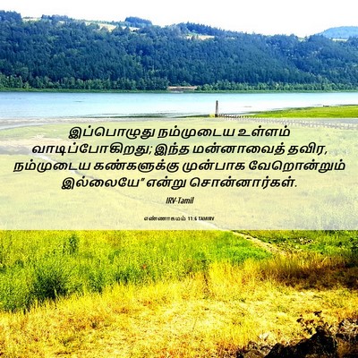 Picture 06 - எண்ணாகமம் 11:6 TAMIRV - இப்பொழுது - Bible Verse Picture
