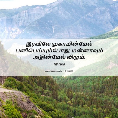 Picture 06 - எண்ணாகமம் 11:9 TAMIRV - இரவிலே - Bible Verse Picture