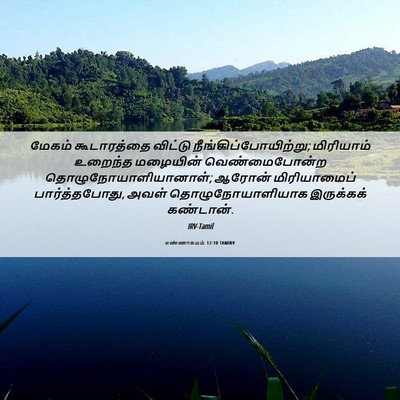 Picture 06 - எண்ணாகமம் 12:10 TAMIRV - மேகம் கூடாரத்தை - Bible Verse Picture