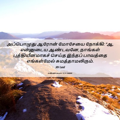 Picture 06 - எண்ணாகமம் 12:11 TAMIRV - அப்பொழுது ஆரோன் - Bible Verse Picture