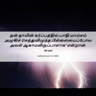 Picture 06 - எண்ணாகமம் 12:12 TAMIRV - தன் தாயின் - Bible Verse Picture