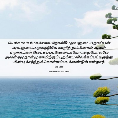 Picture 06 - எண்ணாகமம் 12:14 TAMIRV - யெகோவா மோசேயை - Bible Verse Picture