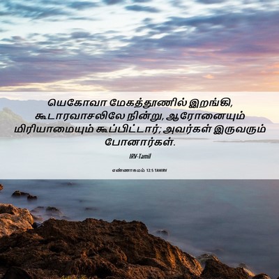 Picture 06 - எண்ணாகமம் 12:5 TAMIRV - யெகோவா - Bible Verse Picture
