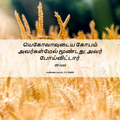 Picture 06 - எண்ணாகமம் 12:9 TAMIRV - யெகோவாவுடைய கோபம் - Bible Verse Picture