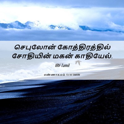 Picture 06 - எண்ணாகமம் 13:10 TAMIRV - செபுலோன் - Bible Verse Picture