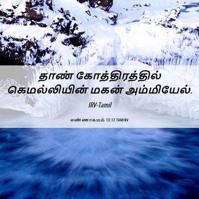 Picture 06 - எண்ணாகமம் 13:12 TAMIRV - தாண் - Bible Verse Picture