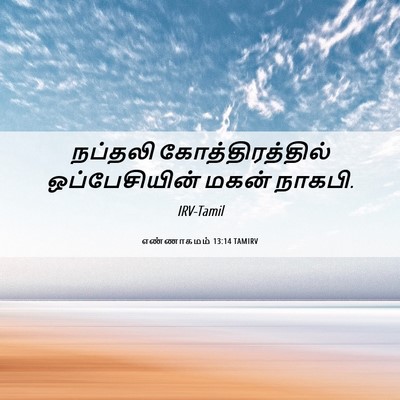 Picture 06 - எண்ணாகமம் 13:14 TAMIRV - நப்தலி - Bible Verse Picture