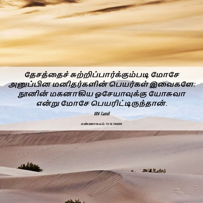 Picture 06 - எண்ணாகமம் 13:16 TAMIRV - தேசத்தைச் - Bible Verse Picture