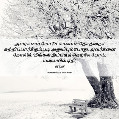 Picture 06 - எண்ணாகமம் 13:17 TAMIRV - அவர்களை மோசே - Bible Verse Picture