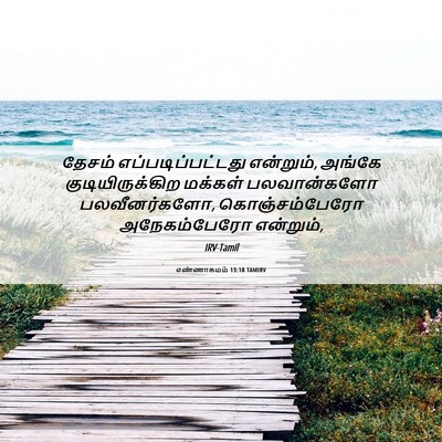 Picture 06 - எண்ணாகமம் 13:18 TAMIRV - தேசம் - Bible Verse Picture