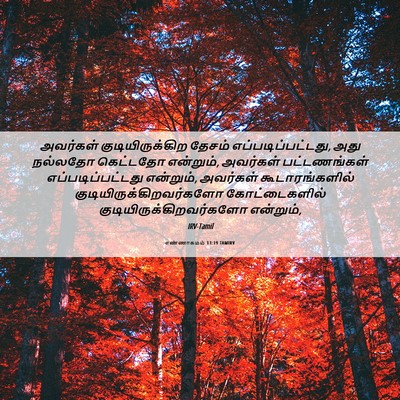 Picture 06 - எண்ணாகமம் 13:19 TAMIRV - அவர்கள் - Bible Verse Picture