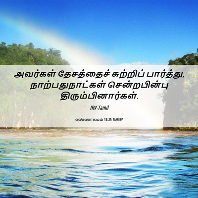 Picture 06 - எண்ணாகமம் 13:25 TAMIRV - அவர்கள் தேசத்தைச் - Bible Verse Picture