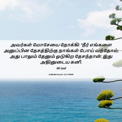 Picture 06 - எண்ணாகமம் 13:27 TAMIRV - அவர்கள் மோசேயை - Bible Verse Picture