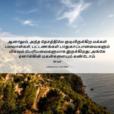Picture 06 - எண்ணாகமம் 13:28 TAMIRV - ஆனாலும், அந்த - Bible Verse Picture