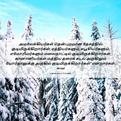 Picture 06 - எண்ணாகமம் 13:29 TAMIRV - அமலேக்கியர்கள் - Bible Verse Picture