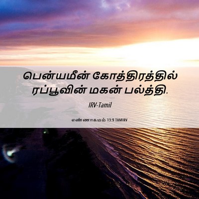 Picture 06 - எண்ணாகமம் 13:9 TAMIRV - பென்யமீன் - Bible Verse Picture
