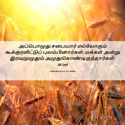 Picture 06 - எண்ணாகமம் 14:1 TAMIRV - அப்பொழுது சபையார் - Bible Verse Picture