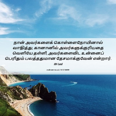 Picture 06 - எண்ணாகமம் 14:12 TAMIRV - நான் அவர்களைக் - Bible Verse Picture