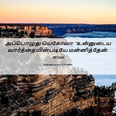 Picture 06 - எண்ணாகமம் 14:20 TAMIRV - அப்பொழுது யெகோவா: - Bible Verse Picture