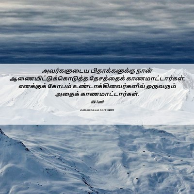 Picture 06 - எண்ணாகமம் 14:23 TAMIRV - அவர்களுடைய - Bible Verse Picture