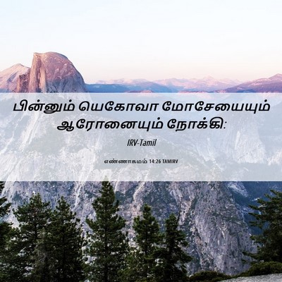 Picture 06 - எண்ணாகமம் 14:26 TAMIRV - பின்னும் யெகோவா - Bible Verse Picture