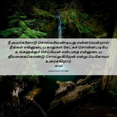 Picture 06 - எண்ணாகமம் 14:28 TAMIRV - நீ அவர்களோடு - Bible Verse Picture