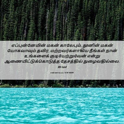 Picture 06 - எண்ணாகமம் 14:30 TAMIRV - எப்புன்னேயின் - Bible Verse Picture
