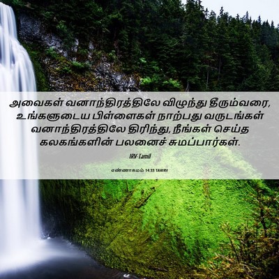 Picture 06 - எண்ணாகமம் 14:33 TAMIRV - அவைகள் - Bible Verse Picture