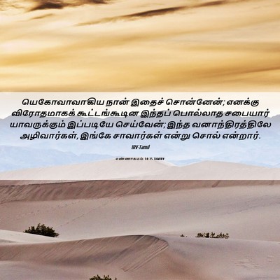 Picture 06 - எண்ணாகமம் 14:35 TAMIRV - யெகோவாவாகிய நான் - Bible Verse Picture