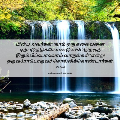 Picture 06 - எண்ணாகமம் 14:4 TAMIRV - பின்பு அவர்கள்: - Bible Verse Picture