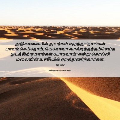 Picture 06 - எண்ணாகமம் 14:40 TAMIRV - அதிகாலையில் - Bible Verse Picture