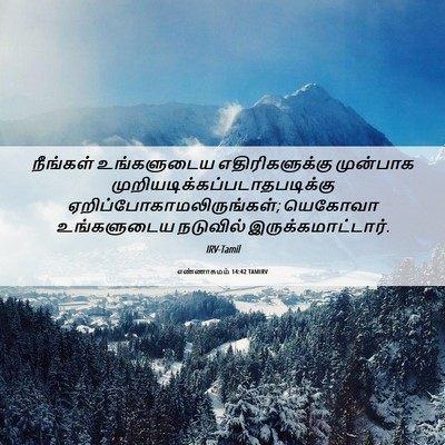 Picture 06 - எண்ணாகமம் 14:42 TAMIRV - நீங்கள் உங்களுடைய - Bible Verse Picture