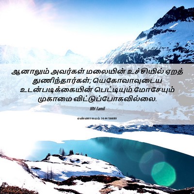 Picture 06 - எண்ணாகமம் 14:44 TAMIRV - ஆனாலும் அவர்கள் - Bible Verse Picture