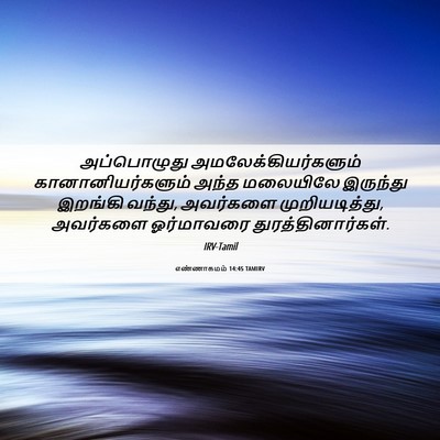 Picture 06 - எண்ணாகமம் 14:45 TAMIRV - அப்பொழுது - Bible Verse Picture