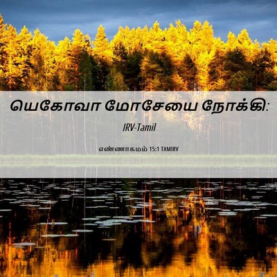 Picture 06 - எண்ணாகமம் 15:1 TAMIRV - யெகோவா மோசேயை - Bible Verse Picture