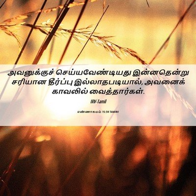 Picture 06 - எண்ணாகமம் 15:34 TAMIRV - அவனுக்குச் - Bible Verse Picture