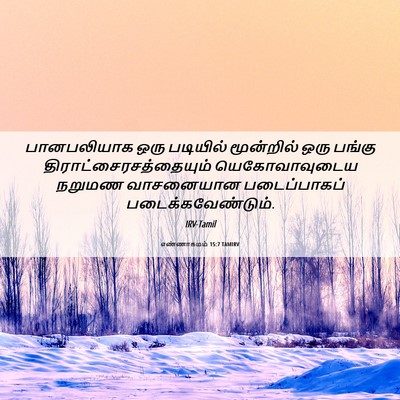 Picture 06 - எண்ணாகமம் 15:7 TAMIRV - பானபலியாக ஒரு - Bible Verse Picture