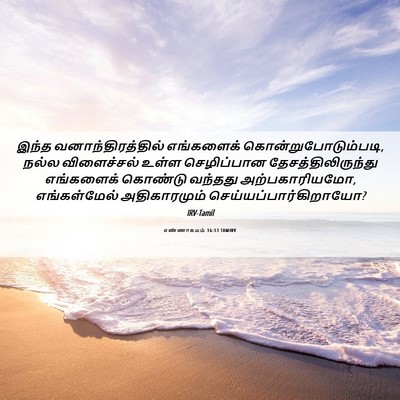 Picture 06 - எண்ணாகமம் 16:13 TAMIRV - இந்த - Bible Verse Picture