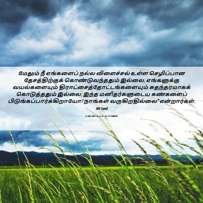 Picture 06 - எண்ணாகமம் 16:14 TAMIRV - மேலும் நீ - Bible Verse Picture