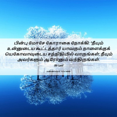 Picture 06 - எண்ணாகமம் 16:16 TAMIRV - பின்பு மோசே - Bible Verse Picture