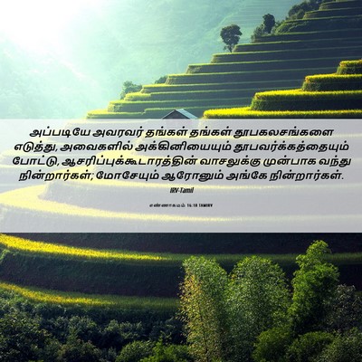 Picture 06 - எண்ணாகமம் 16:18 TAMIRV - அப்படியே அவரவர் - Bible Verse Picture