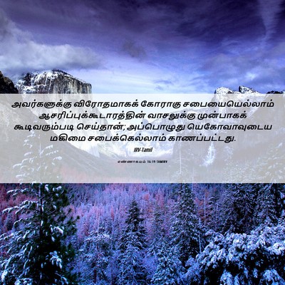 Picture 06 - எண்ணாகமம் 16:19 TAMIRV - அவர்களுக்கு - Bible Verse Picture